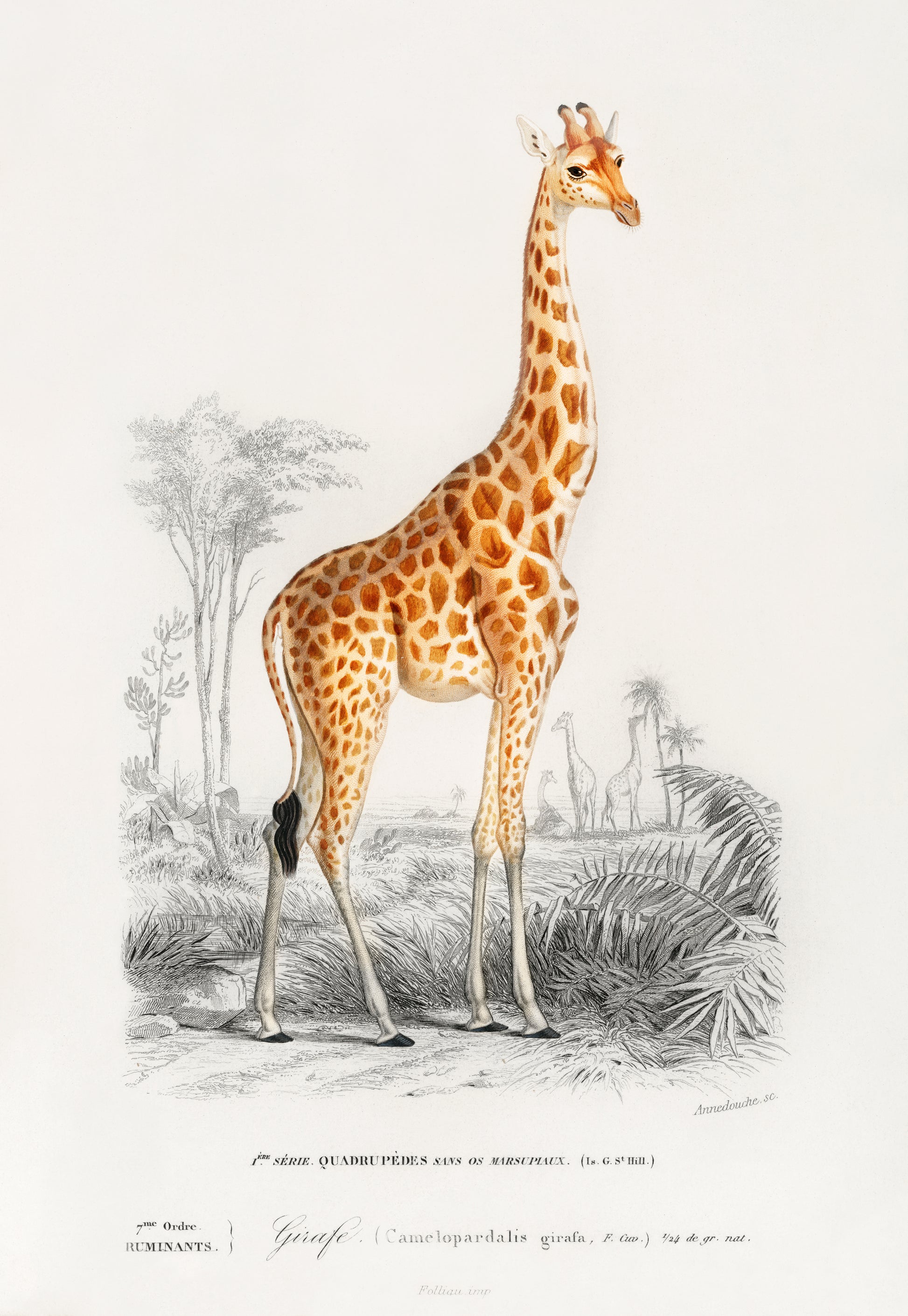 animal art print
