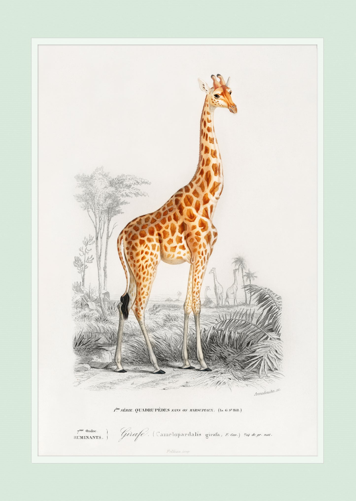 Giraffe - Wall Art Print