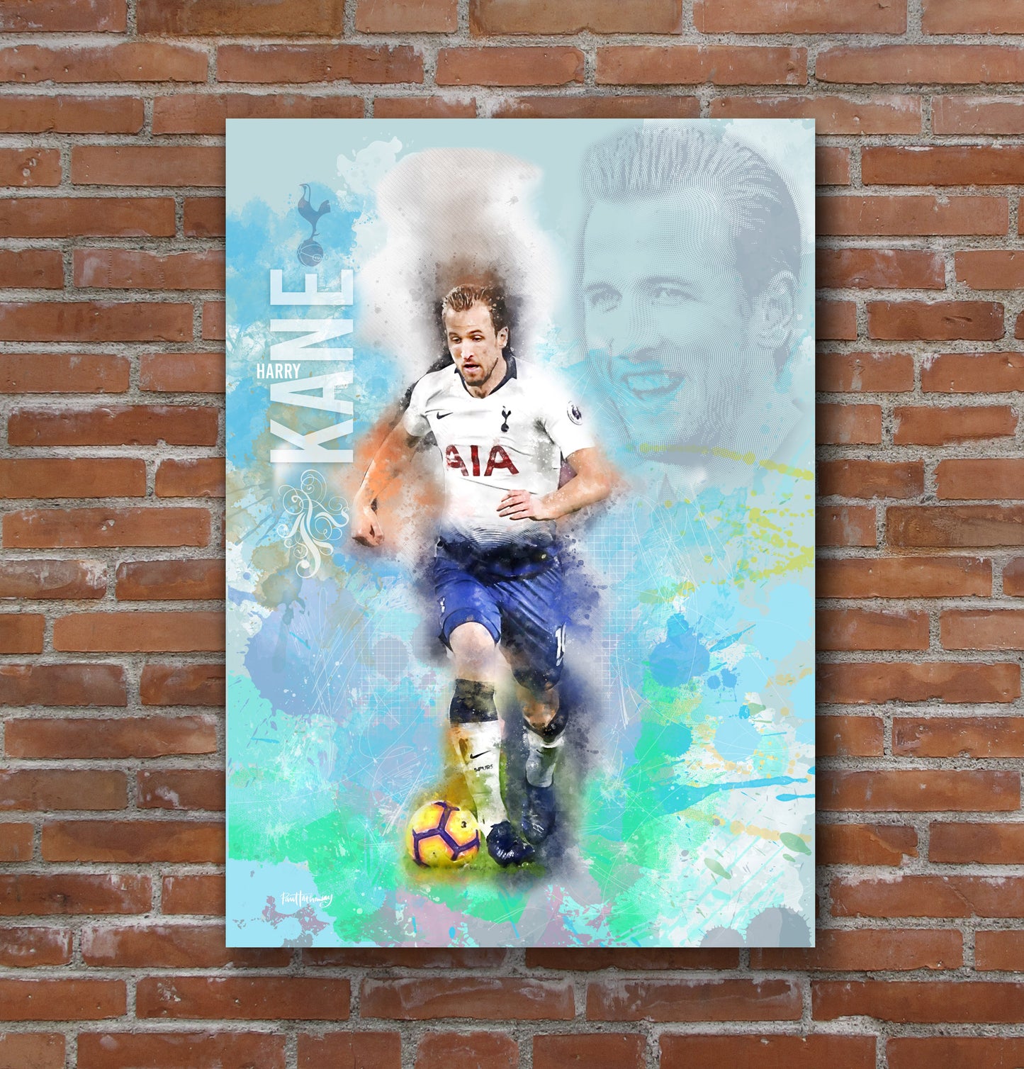 Harry Kane canvas print gift