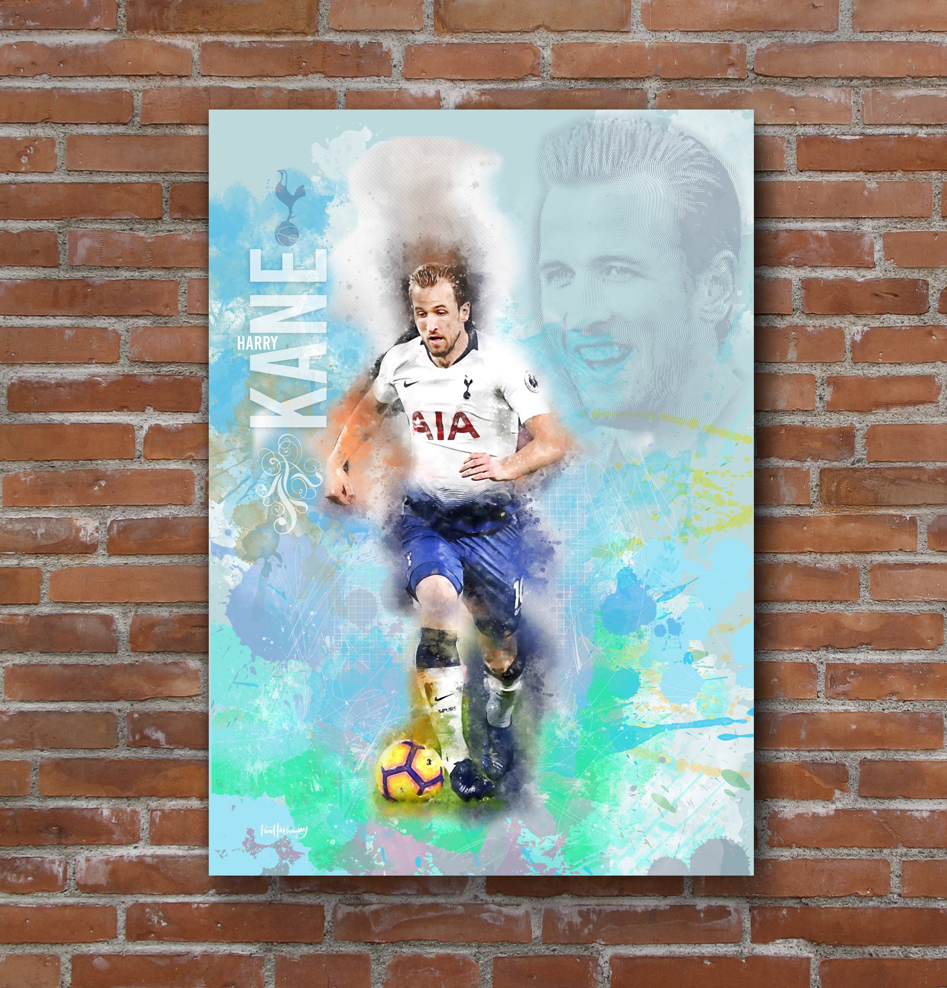 Harry Kane canvas print gift