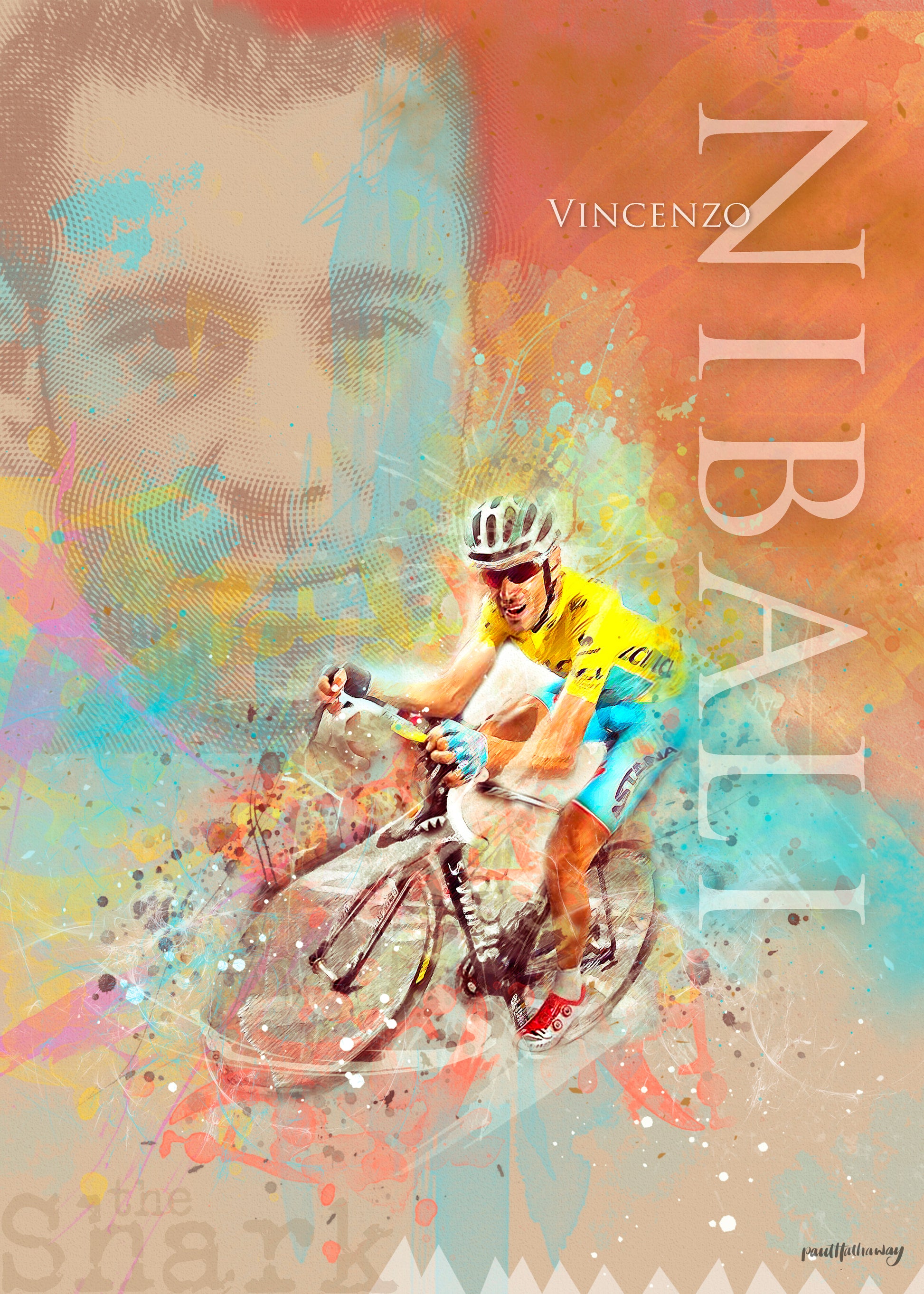 vincenzo nibali, giro d'italia, tour de france