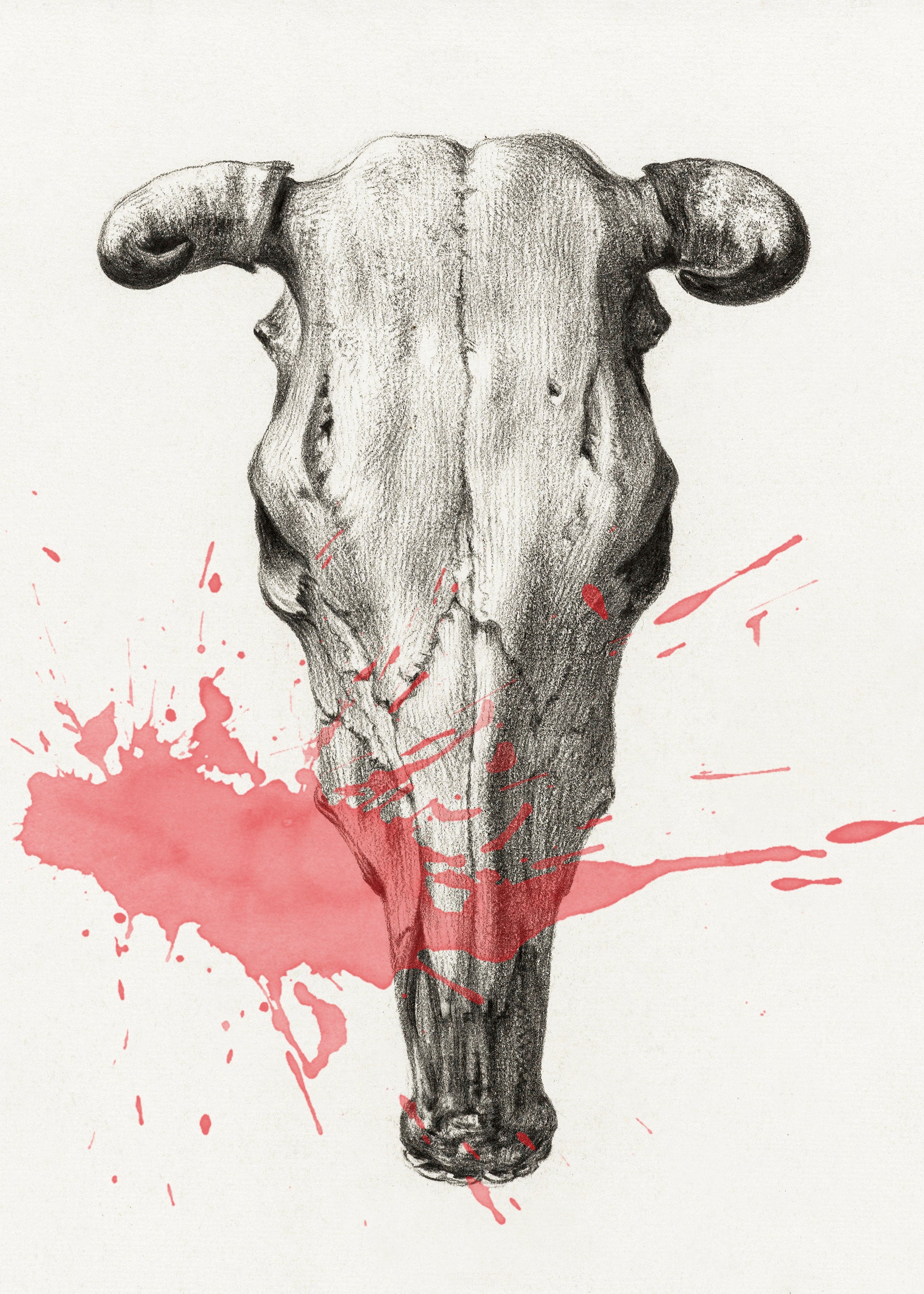 skull wall art print